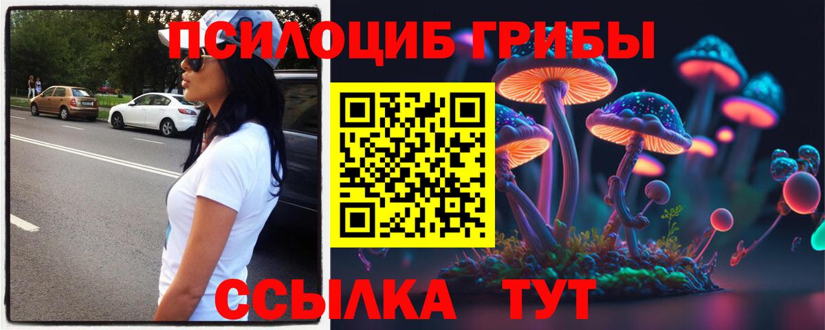 Ейск  Псилоцибиновые грибы мухоморы  Вход с VPN 